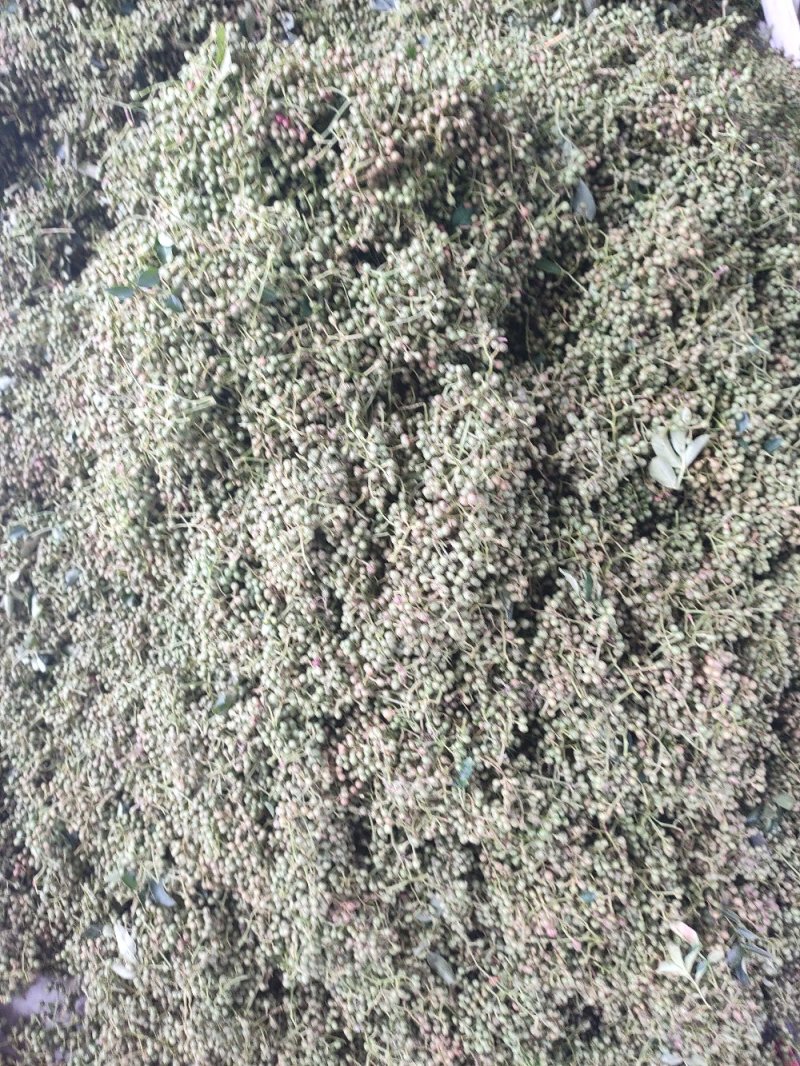 鲜花椒，花椒