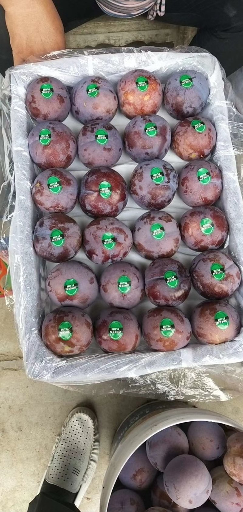 黑总统，黑琥珀李子大量上市