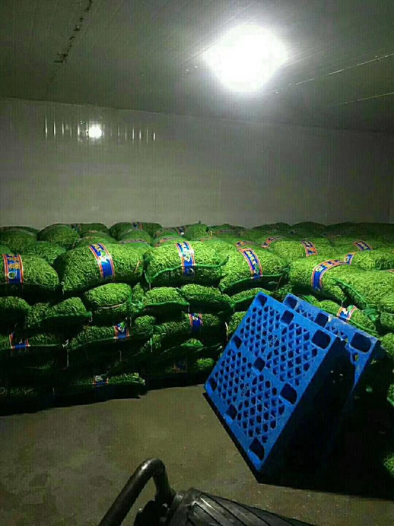 翠绿宝毛豆～基地直供～货源充足～质量保证。