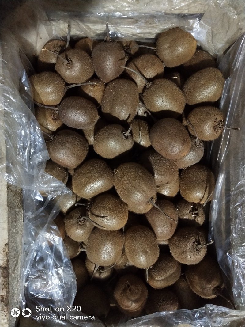 产地直供猕猴桃精品果陕西徐香水果大果硬度高糖份足优质水果