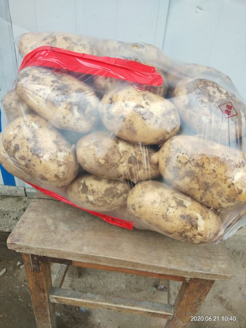 【甘肃土豆】甘肃优质土豆226、沃土、希森！大量上市中！