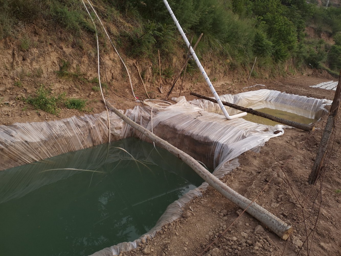 黄芪种植基地航拍图