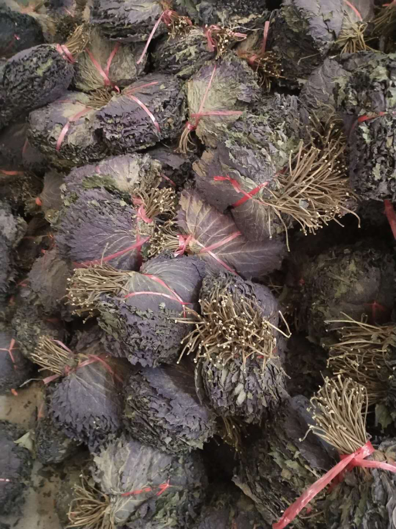 扎把紫苏叶【包邮】三斤起发货可批量可零售量大从优