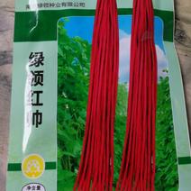 绿领红帅长豇豆角，适宜春夏秋播种。