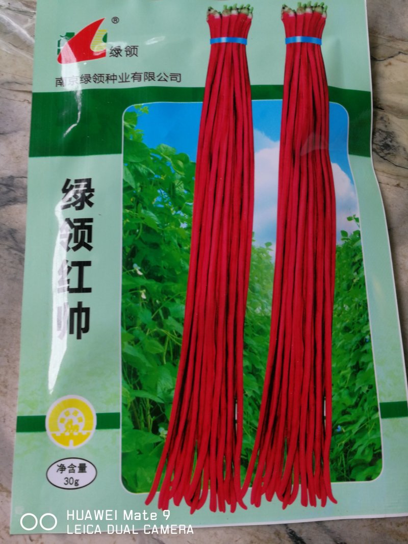 绿领红帅长豇豆角，适宜春夏秋播种。