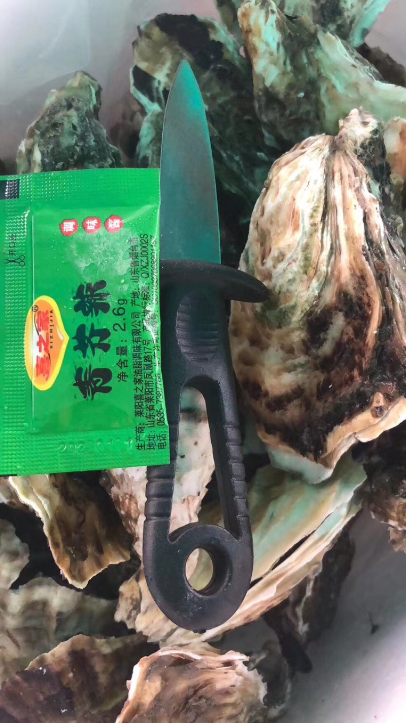 鲜活全壳牡蛎现捕现发海鲜水产高压锅生蚝壳薄肉肥