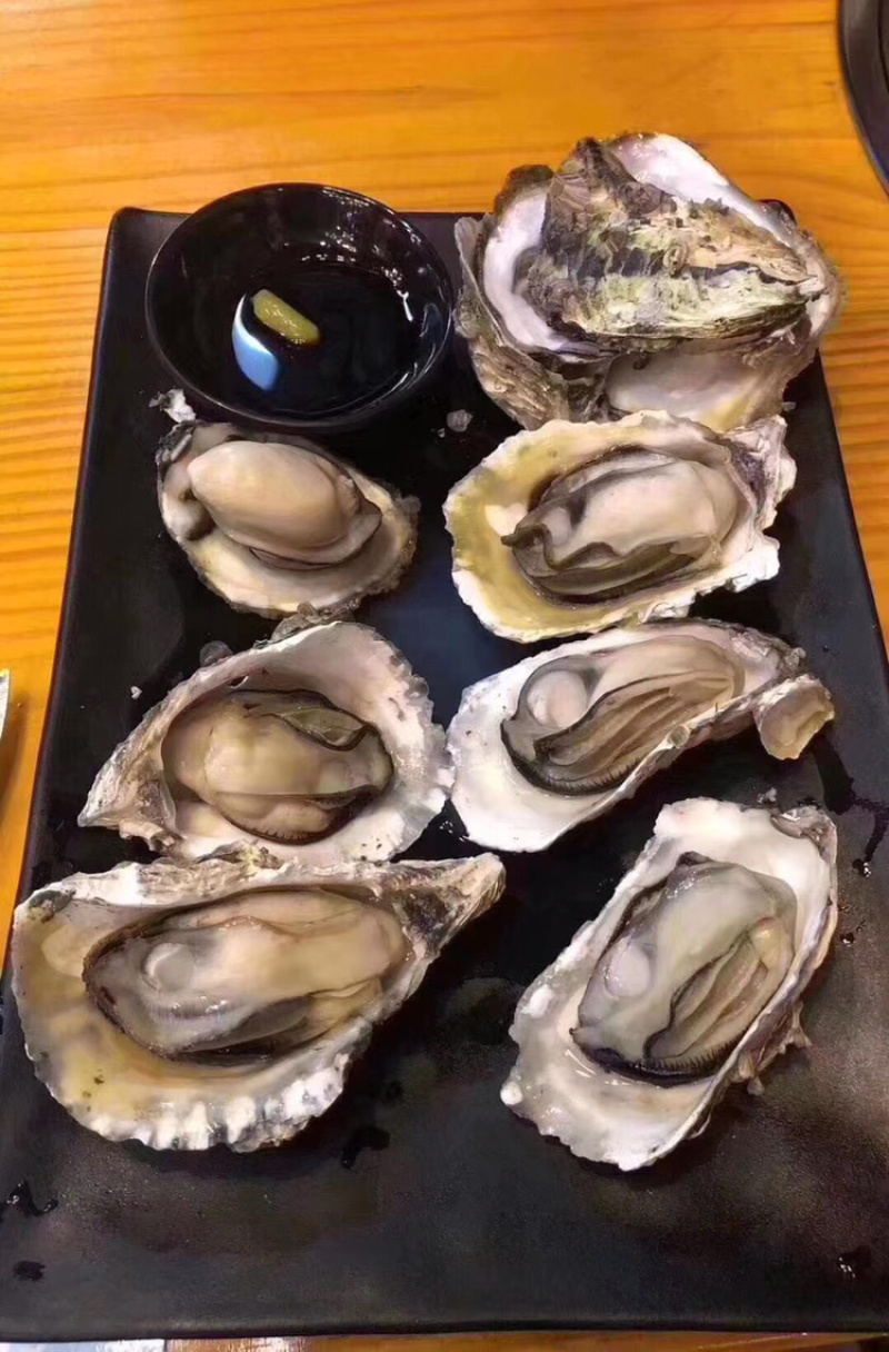 鲜活全壳牡蛎现捕现发海鲜水产高压锅生蚝壳薄肉肥