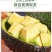 进口智利墨西哥秘鲁牛油果