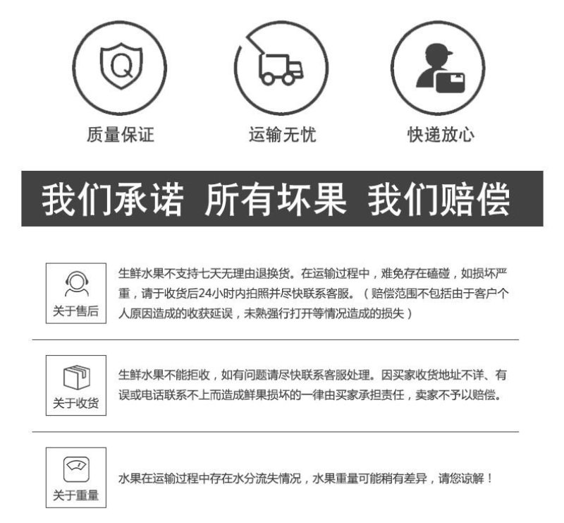 进口智利墨西哥秘鲁牛油果