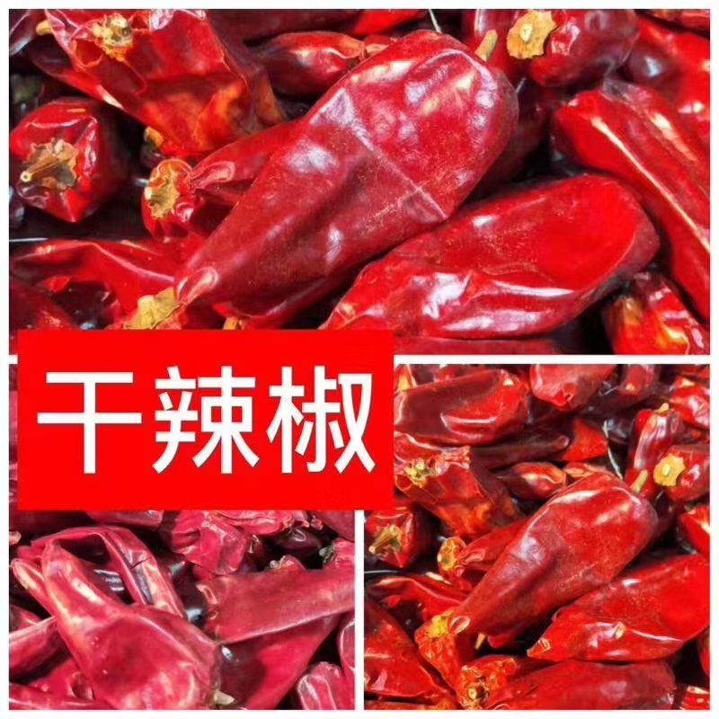 东北大辣椒干货～色泽好无添加微辣