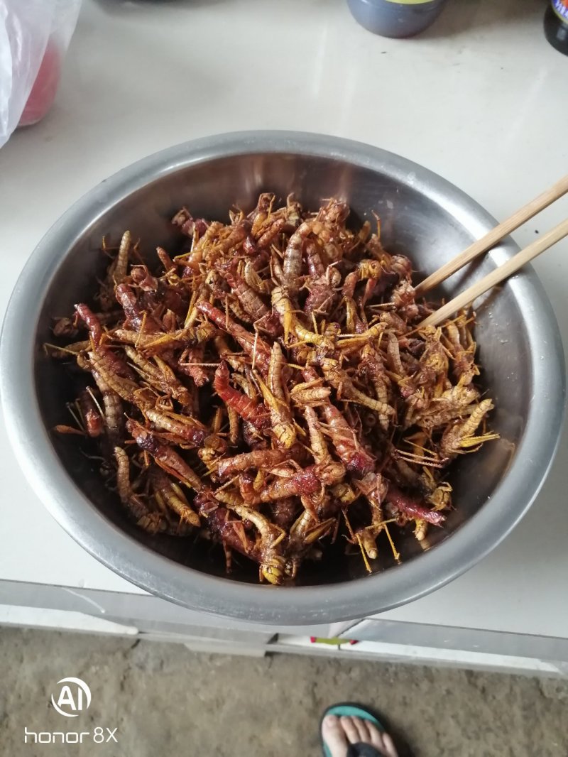 蝗虫