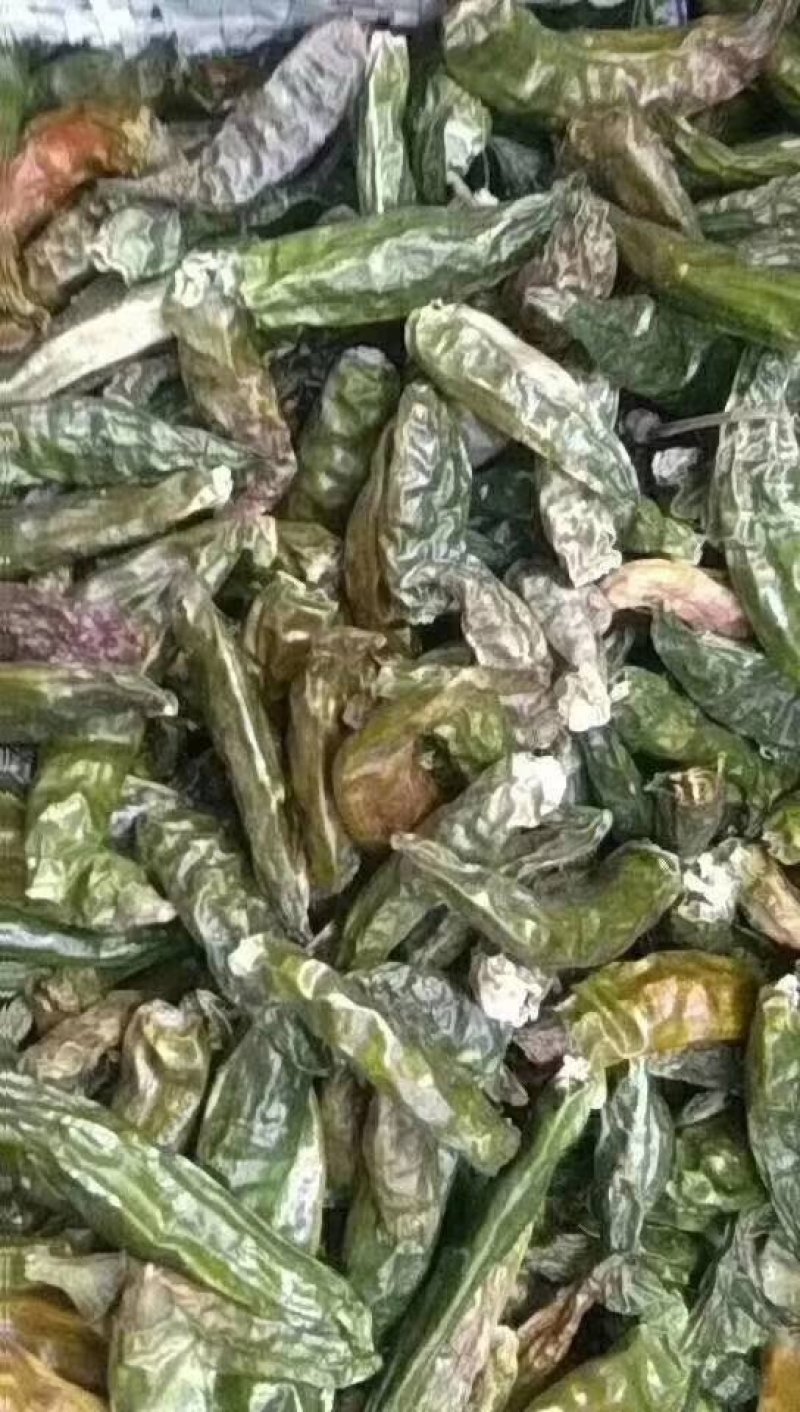 干辣椒