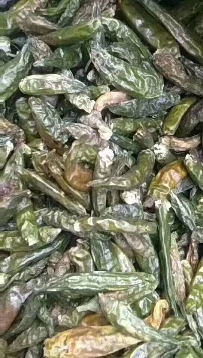 干辣椒