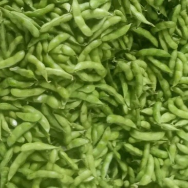 毛豆