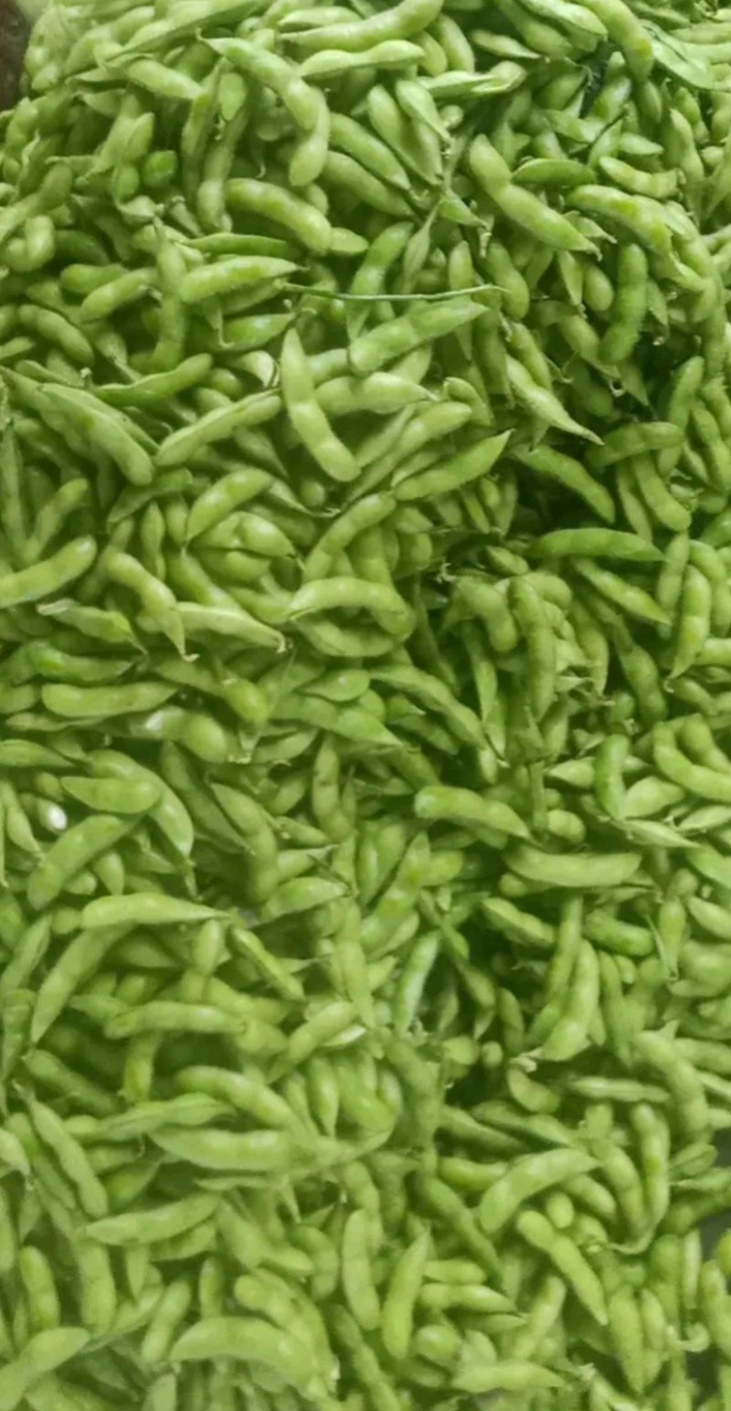 毛豆