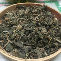 九头狮子草正品可打粉专业中药批发大量
