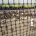 养殖网养鸡养鸭网漏粪网防护网菜园网果园围网隔离网塑料网