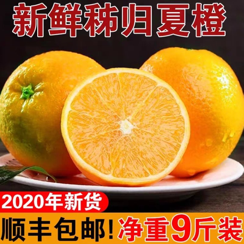 湖北秭归夏橙