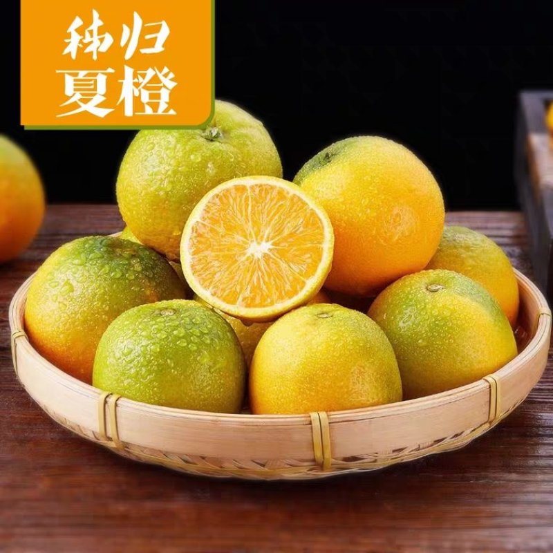 湖北秭归夏橙