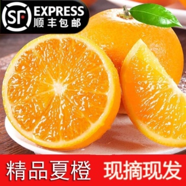 湖北秭归夏橙
