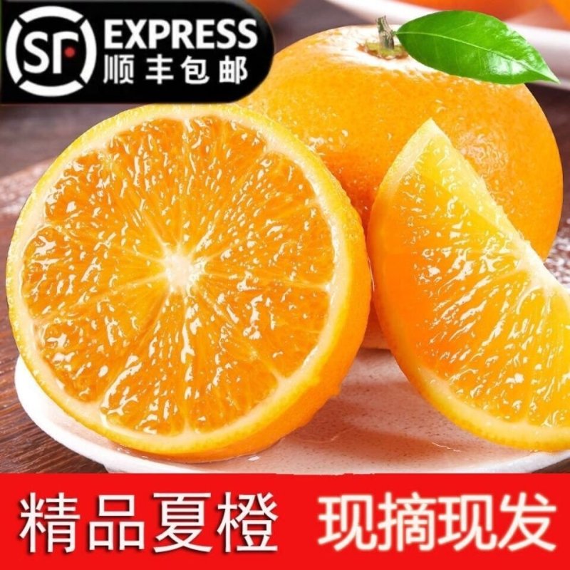 湖北秭归夏橙