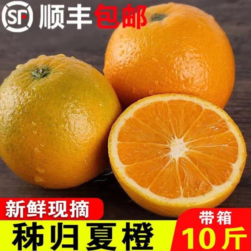 湖北秭归夏橙