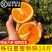 湖北秭归夏橙