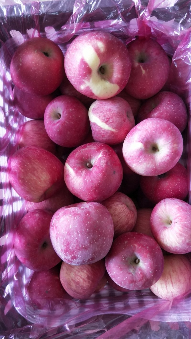 水果