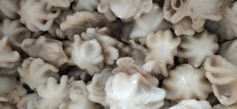 纯原汁三去盐揉小八爪鱼盐磨小章鱼捞汁熟食食材八爪鱼