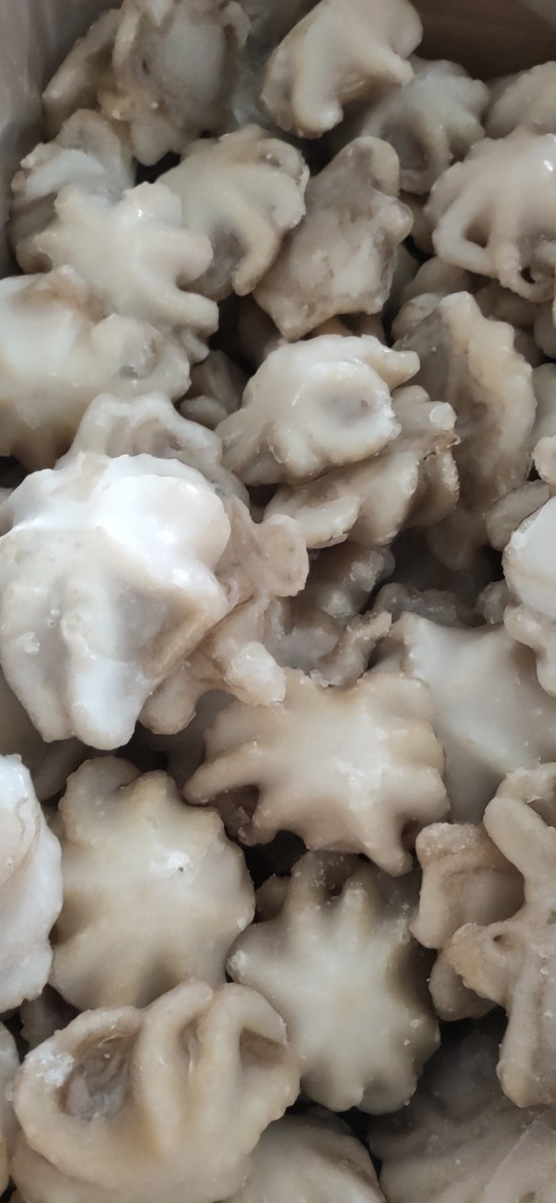 纯原汁三去盐揉小八爪鱼盐磨小章鱼捞汁熟食食材八爪鱼