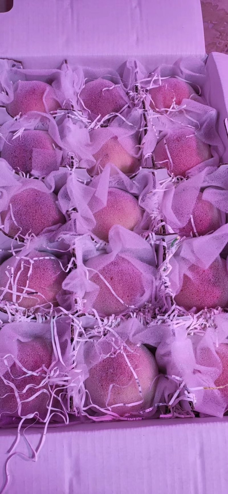 水蜜桃