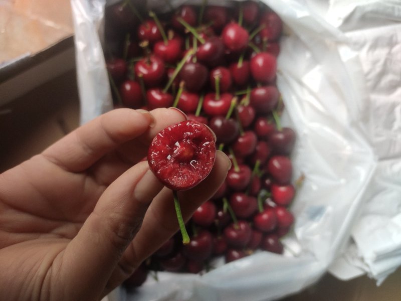 樱桃