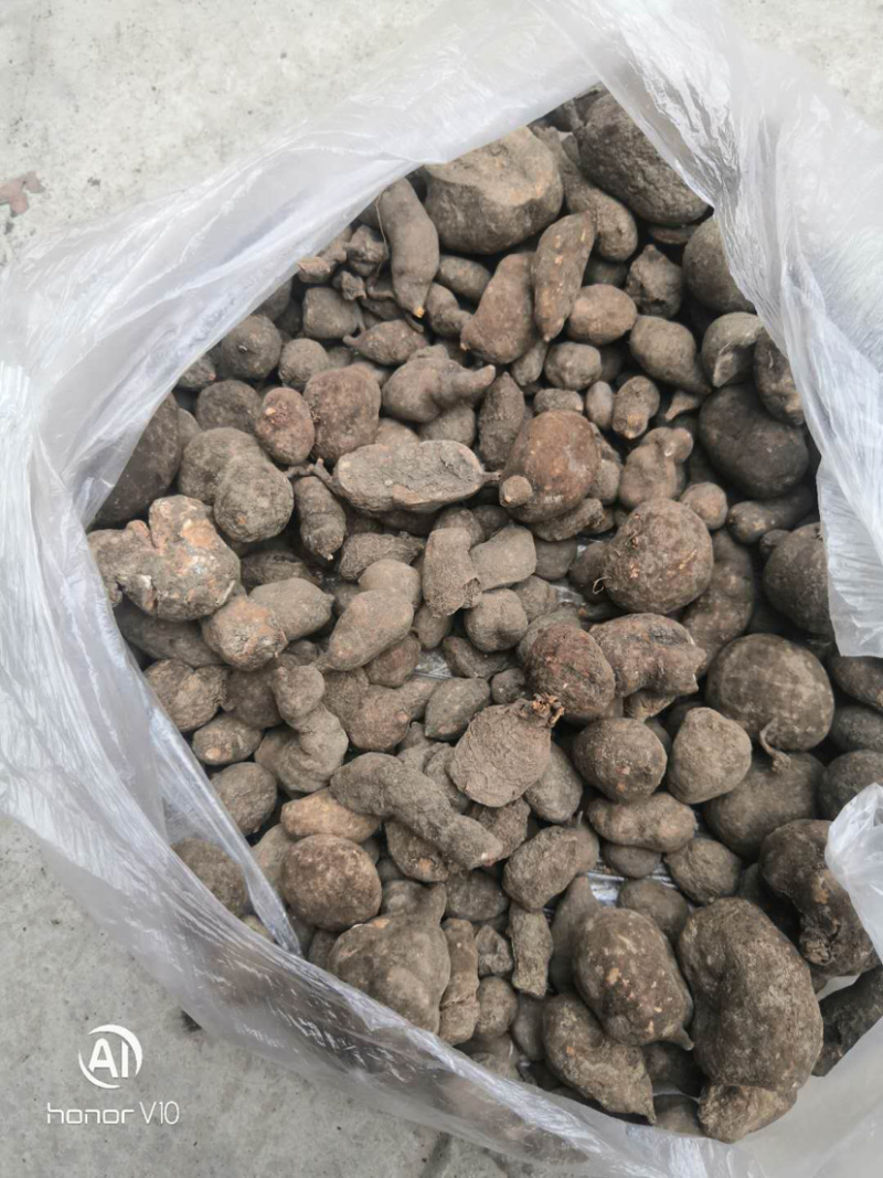 广西三叶青，金线吊葫芦产地直销，鲜货，干货。