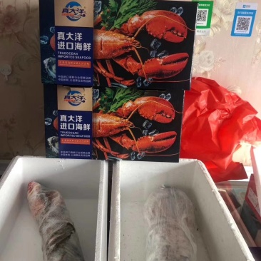 特价新鲜活冻小波士顿龙虾