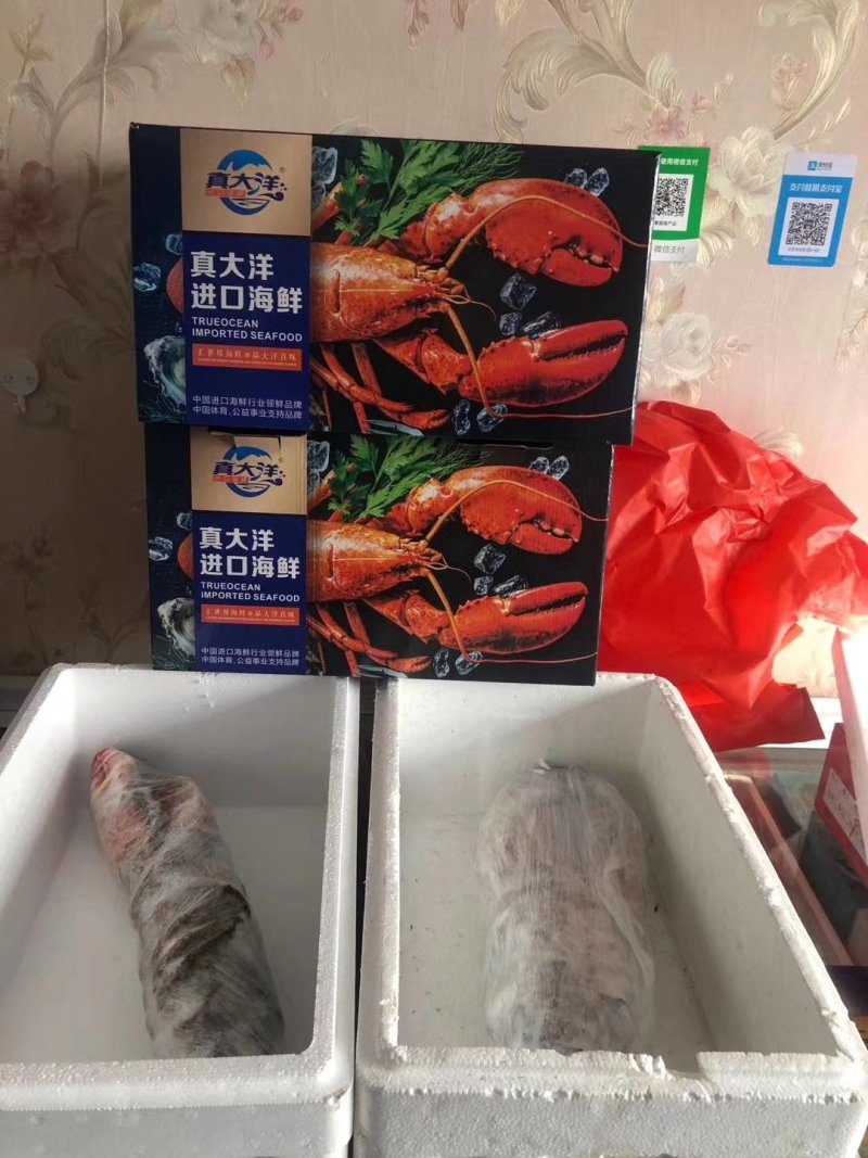 特价新鲜活冻小波士顿龙虾