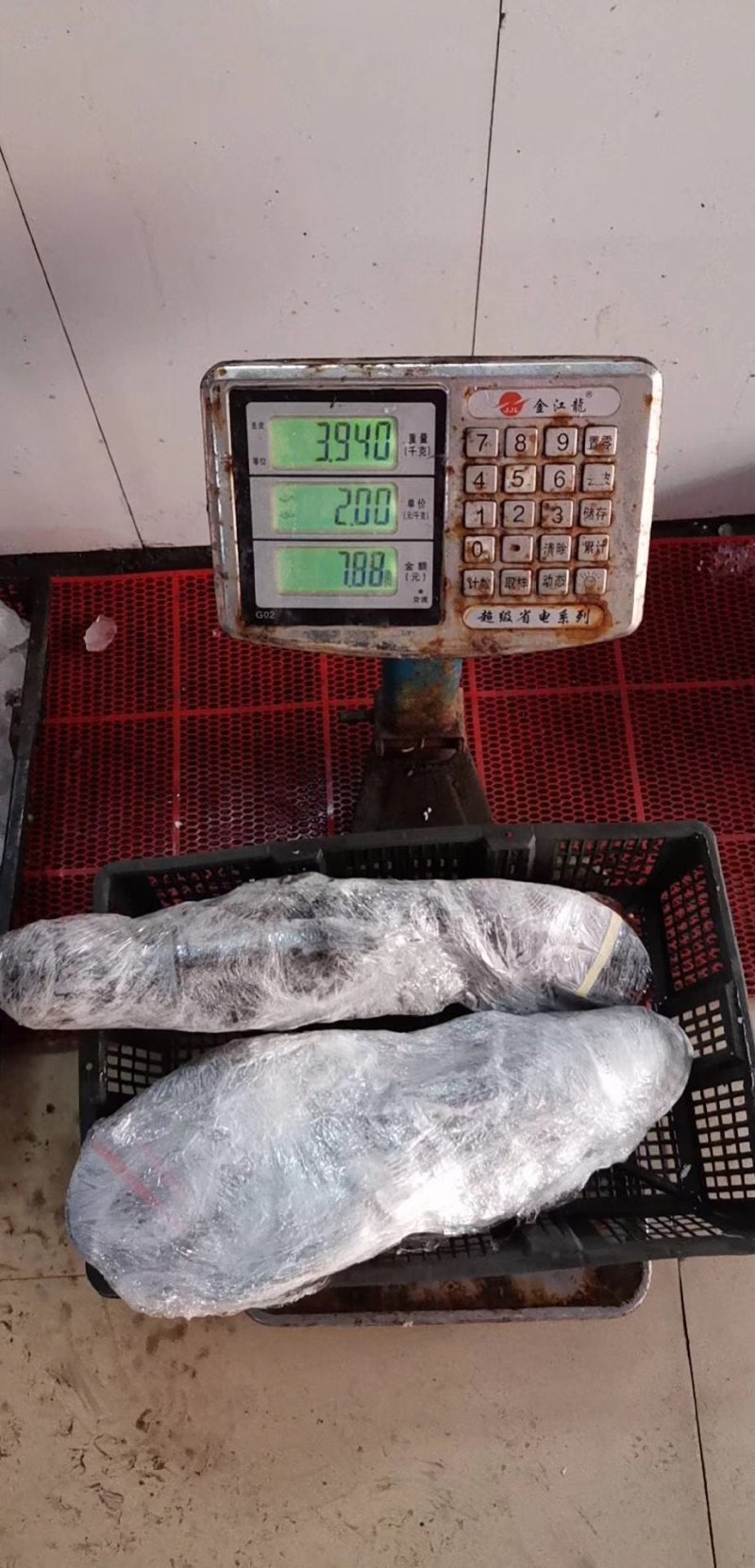特价新鲜活冻小波士顿龙虾