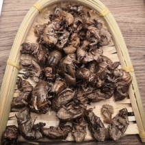 蝉蜕中药材批发蝉蜕