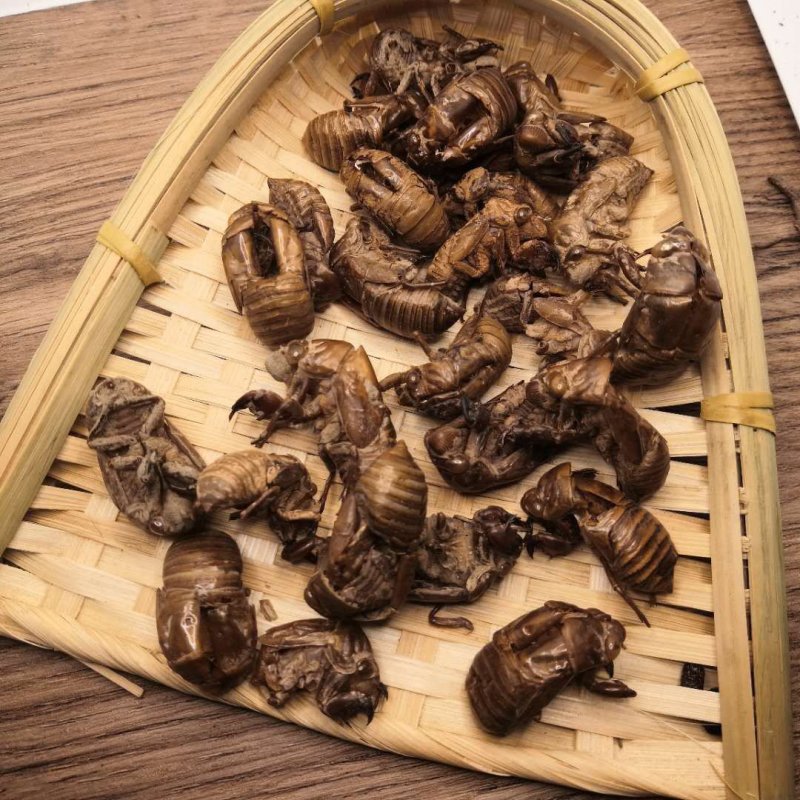 蝉蜕中药材批发蝉蜕