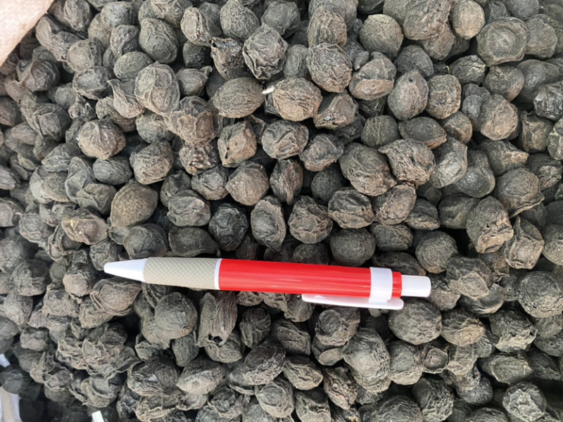 中药材乌梅货品质量保证产批发各种中药材