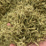 金银花山东金银花包含量产地直销量大从优