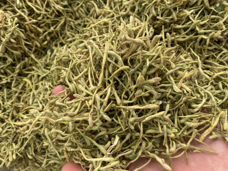 金银花山东金银花包含量产地直销量大从优