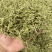 金银花山东金银花包含量产地直销量大从优