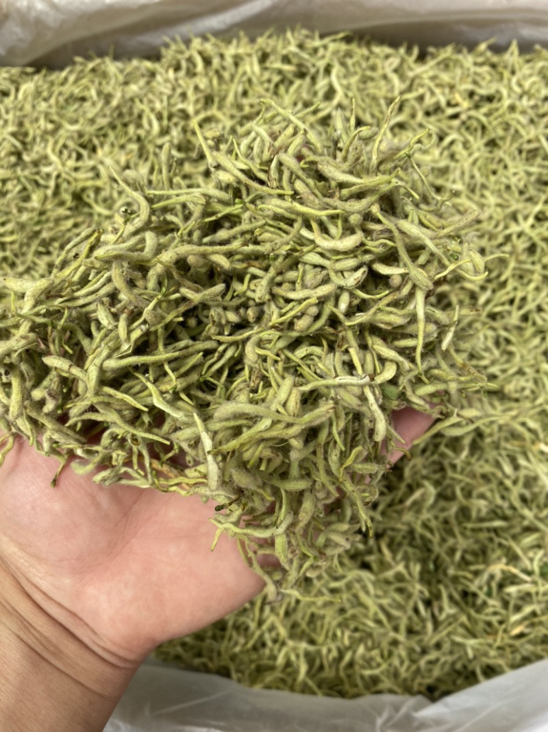 金银花山东金银花包含量产地直销量大从优