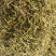 金银花山东金银花包含量产地直销量大从优