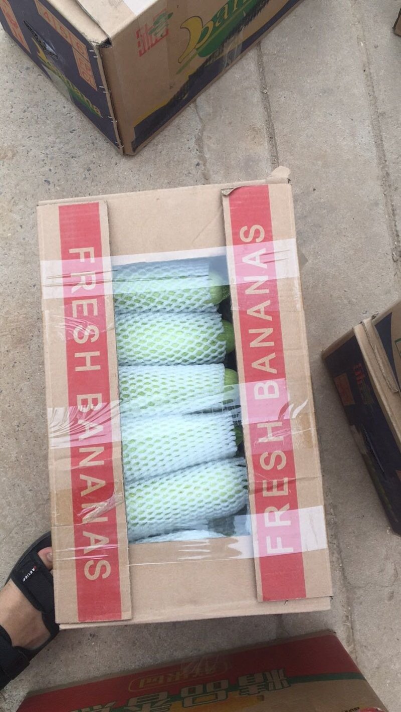 供应精品西葫芦。欢迎各位老板致电