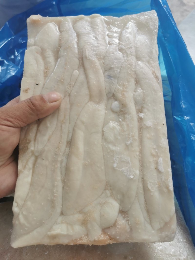 秘鲁鱿鱼籽