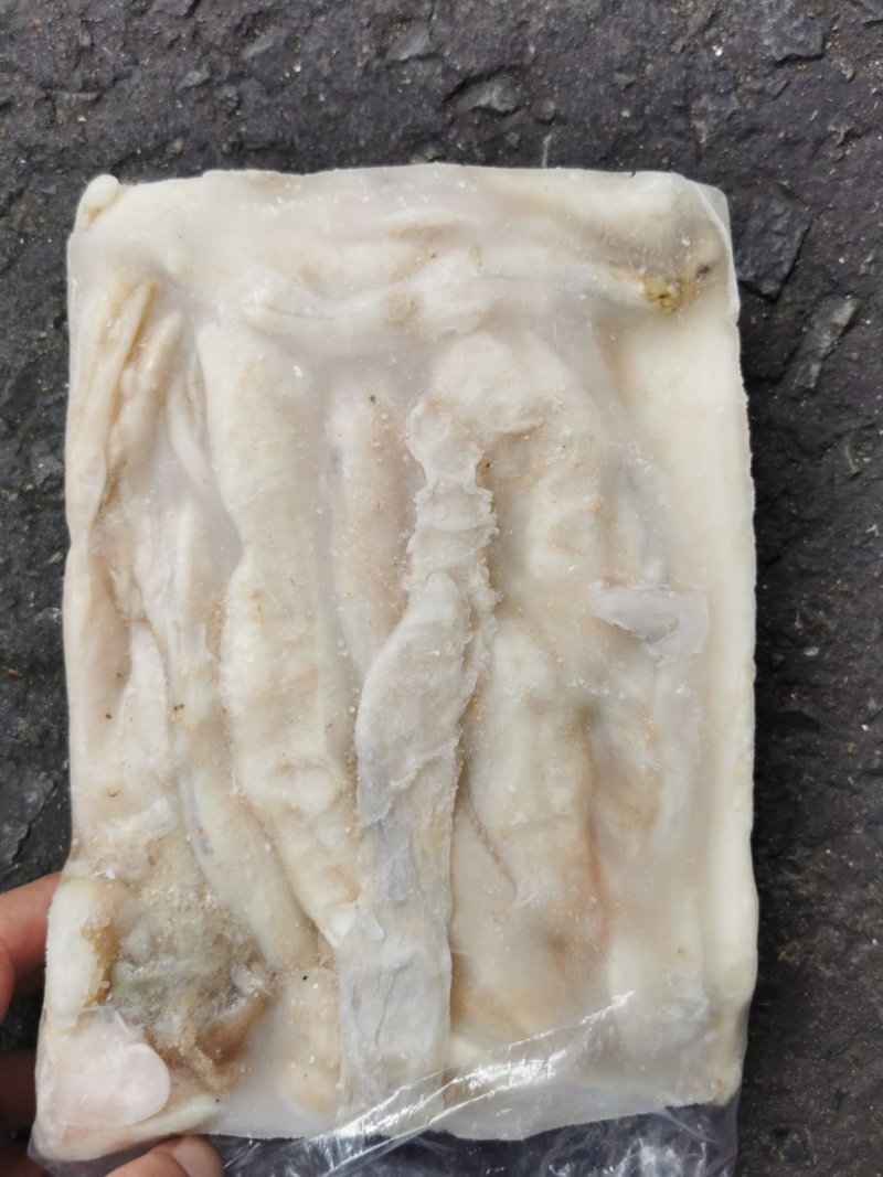 秘鲁鱿鱼籽