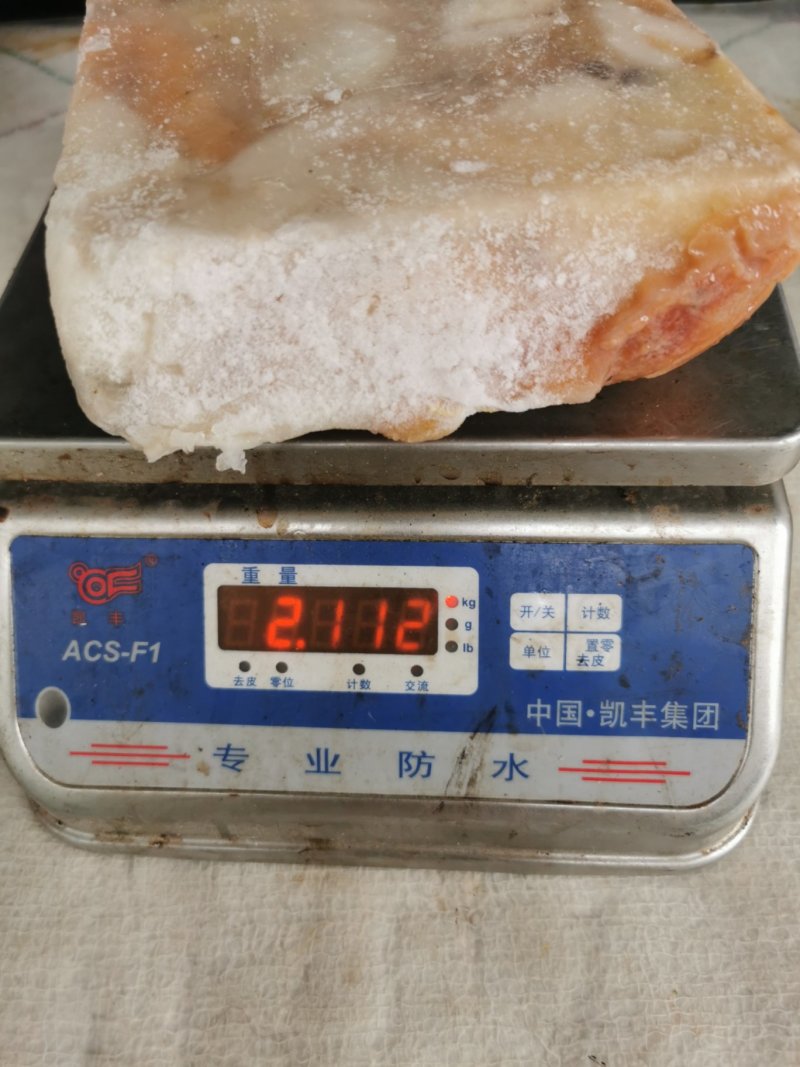 秘鲁鱿鱼籽