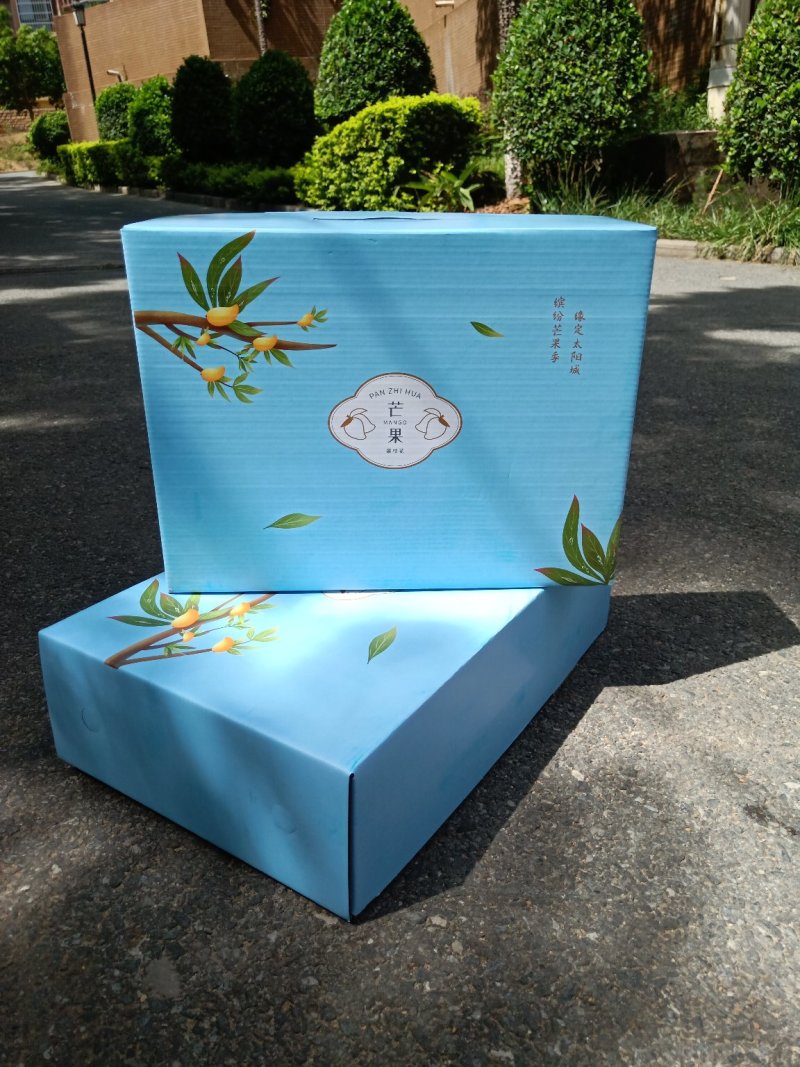 攀枝花椰香芒果