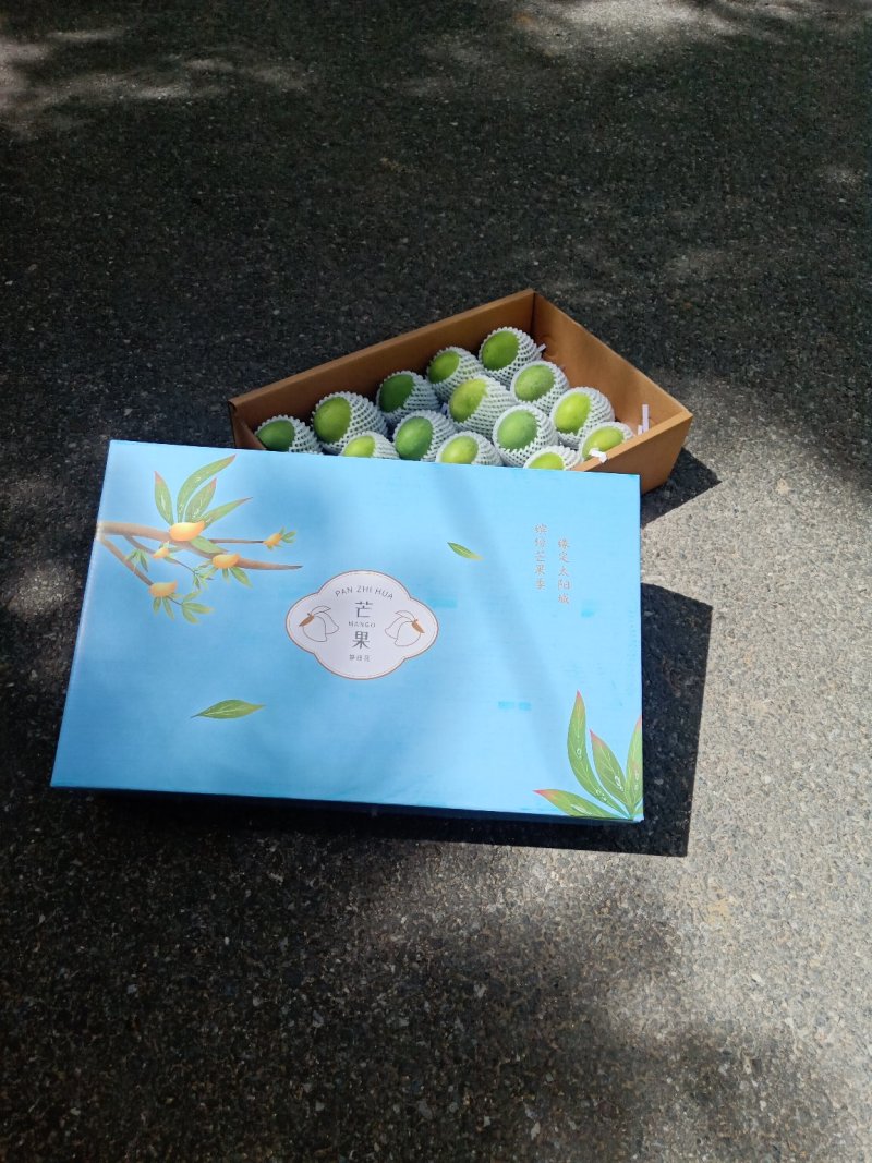 攀枝花椰香芒果